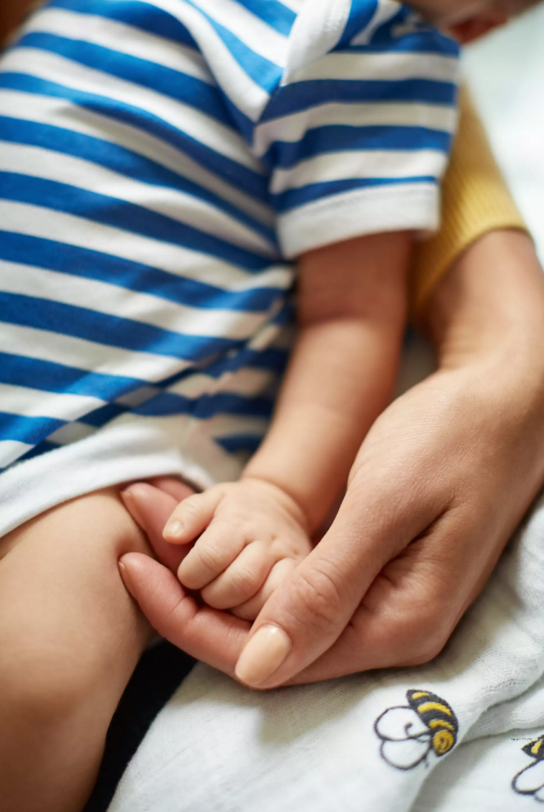 Natural 2.0 - Starterset