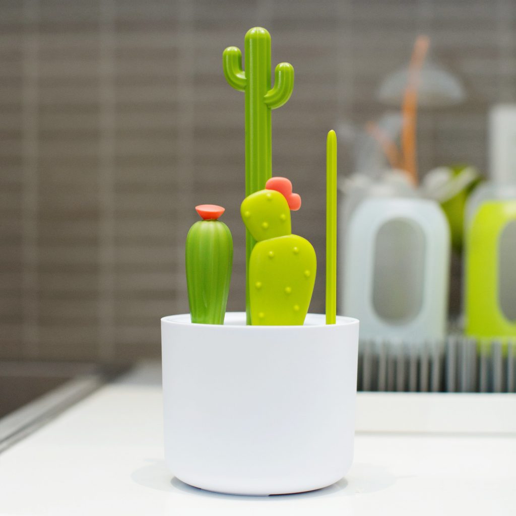 Flessenborstel set - cactus